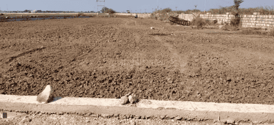 Image of 260 Sq.ft Residential Plot / Land for sale in Dholera, Ahmedabad for Rs. 1560000