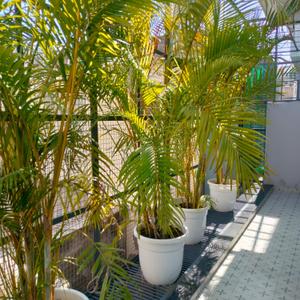 Image of 4500 Sq.ft 5 BHK Villa for sale in Nirman Nagar, Jaipur for Rs. 45000000