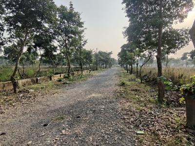 Residential Plot