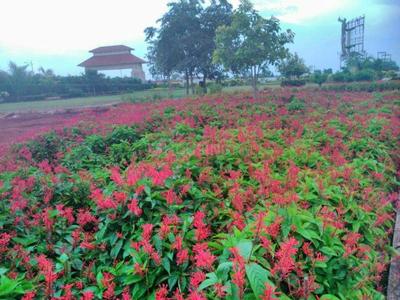 Image of 2760 Sq.ft Residential Plot / Land for sale in Swastik Kalpvriksh, Old Dhamtari Road, Raipur for Rs. 4140000