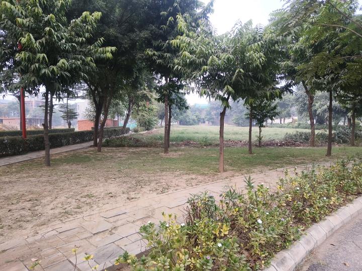 Sector 82A Main Image 1