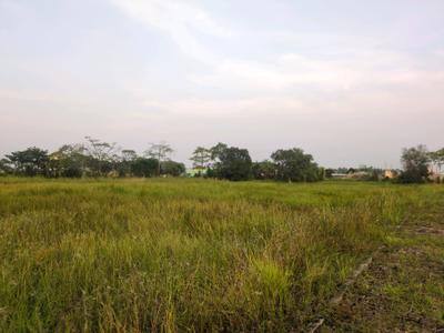Image of 1440 Sq.ft Residential Plot / Land for sale in Raspunja Township, Joka, Kolkata for Rs. 500022