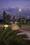 Grow Sankalp Corridor Main Image 1