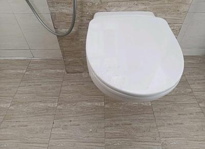 Bathroom Image of 1700 Sq.ft 3 BHK Apartment / Flat for rent in Maxxus Elanza, PR7 Airport Road Zirakpur for Rs. 40000