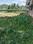 Satgaon Main Image 1