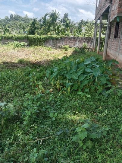 Satgaon Main Image 1