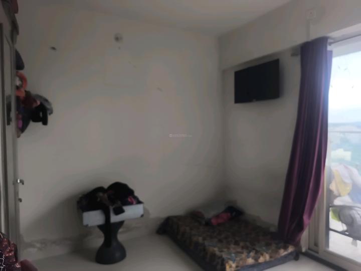 Calyx Artemis Main Image 1