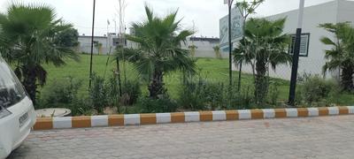 Image of 900 Sq.ft Residential Plot / Land for sale in Mahlan, Jaipur for Rs. 1250000