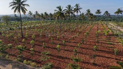 Image of 5500 Sq.ft Residential Plot / Land for sale in Doddaballapura, Bengaluru for Rs. 2700000