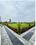Rau Plot View 2