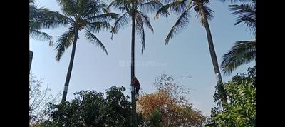 Image of 6500 Sq.ft 4 BHK Farm House for rent in Yadrav, Ichalkaranji for Rs. 30000