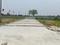 Kandi Plot View 2