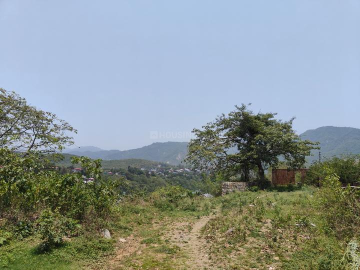 Orchid park Main Image 1