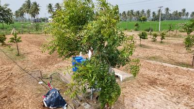 Image of 9600 Sq.ft Residential Plot / Land for sale in Panjappur, Tiruchirappalli for Rs. 8900000