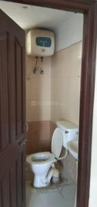 Bathroom Image of 1500 Sq.ft 3 BHK Apartment / Flat for rent in Maya Garden Phase 3, Bishanpura Zirakpur for Rs. 19000