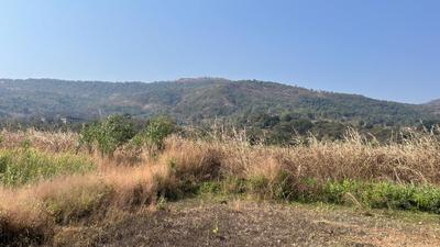 Image of 83590 Sq.ft Residential Plot / Land for sale in Mahad, Raigad for Rs. 7000000