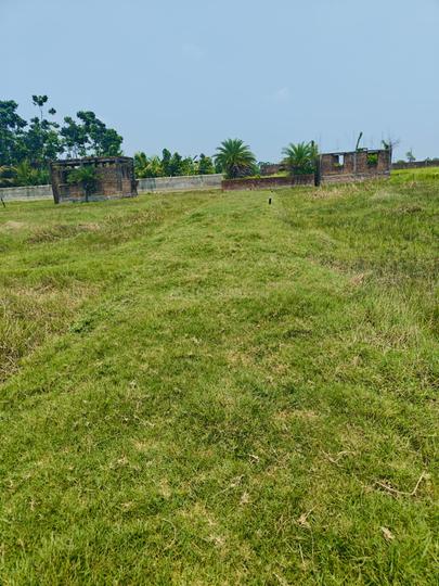 Sonarpur Main Image 1