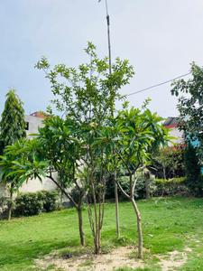 Image of 900 Sq.ft Residential Plot / Land for sale in Noida Extension, Greater Noida for Rs. 5999999