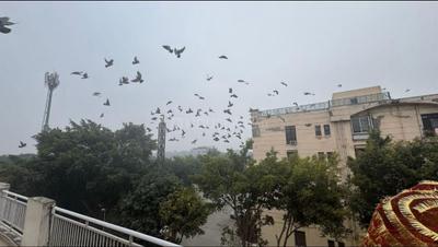 Image of 4700 Sq.ft 4 BHK Duplex for sale in Royal Apartment, Sigma IV, Greater Noida for Rs. 46000000