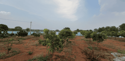 Image of 4320 Sq.ft Residential Plot / Land for sale in Kadthal, Hyderabad for Rs. 4799520
