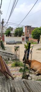 Image of 1700 Sq.ft 2.5 BHK Builder Floor for rent in Maitripuram, Gorakhpur for Rs. 42000