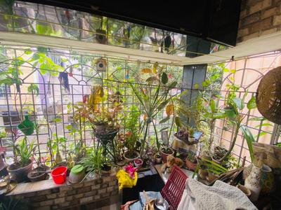 Balcony Image of 682 Sq.ft 2 BHK Apartment / Flat for sale in Jadavpur Kolkata for Rs. 5800000