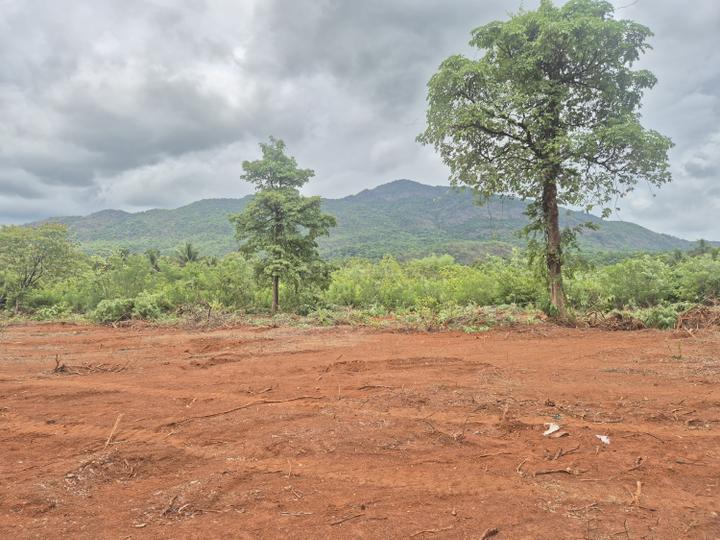 Morlem Main Image 1