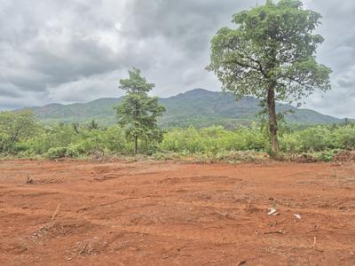 Morlem Plot View 1