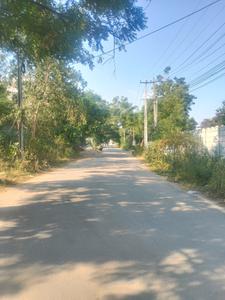 Image of 250 Sq.ft Residential Plot / Land for sale in Shadnagar, Ranga Reddy for Rs. 4675004