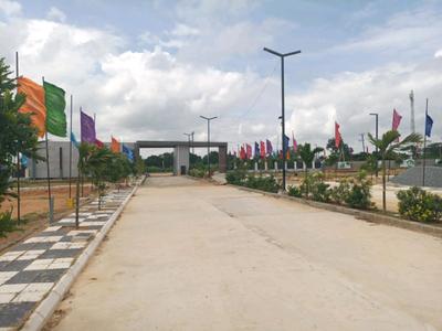 Century Nature City Internal Roads 1