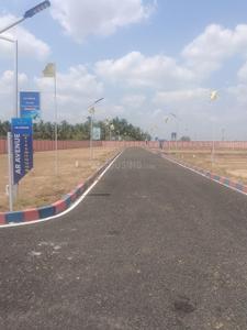 Image of 1200 Sq.ft Residential Plot / Land for sale in Trichy, Tiruchirappalli for Rs. 999999