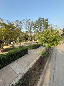 Image of 2500 Sq.ft 3 BHK Builder Floor for sale in BPTP Parklands Pride, Sector 77, Faridabad for Rs. 25000000