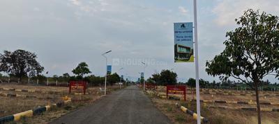 Annur Plot View 3
