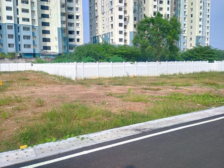 Serasa Regalia Main Image 1