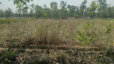 Kohinoor hills Plot View 2