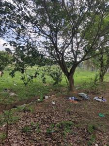 Image of 1200 Sq.ft Residential Plot / Land for sale in Rangapura, Tumkur for Rs. 3420000