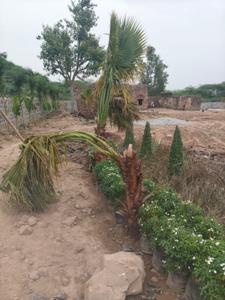 Image of 12411 Sq.ft Residential Plot / Land for sale in Sector 36, Sohna for Rs. 300000000