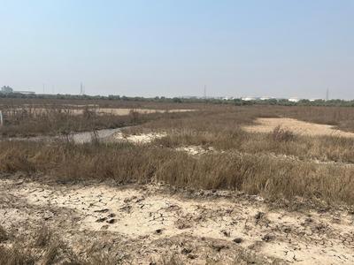 jui Plot View 2