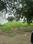 Sector 2, Palam Vihar Plot View 2