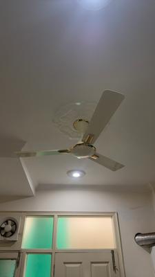 Kitchen Image of 2045 Sq.ft 3 BHK Apartment / Flat for sale in Lark Bollywood Green City, Sector 113 Mohali for Rs. 10000000