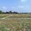 Bihta Plot View 2
