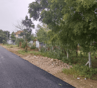 Malliga colony Plot View 2