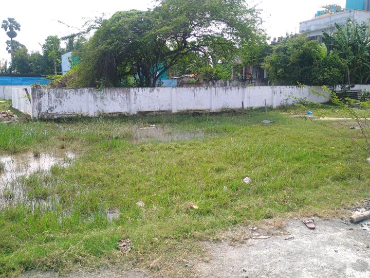 Kattankulathur Main Image 1