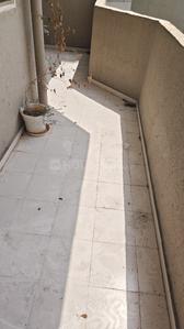 Image of 950 Sq.ft 2 BHK Apartment / Flat for rent in Pyramid Elite, Sector 86, Gurgaon for Rs. 19500