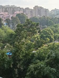 Balcony Image of 1084 Sq.ft 2 BHK Apartment / Flat for rent in Raviraj Yellow Blossoms, Ghorpadi Pune for Rs. 32000
