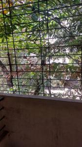 Balcony Image of 800 Sq.ft 2 BHK Independent House for rent in Ashok Nagar Pune for Rs. 32000