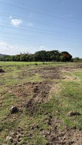 Parthasarathy Puram Plot View 3