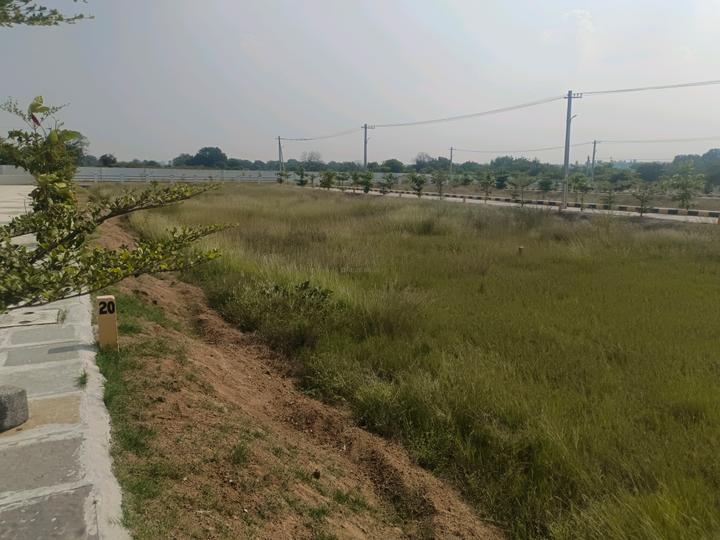 Devender Colony Plot View 1