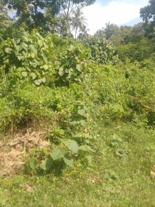 Image of 10890 Sq.ft Residential Plot / Land for sale in Killannur, Thrissur for Rs. 3125000