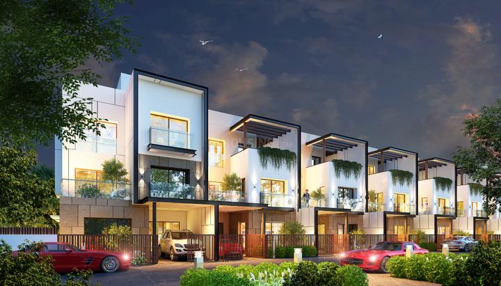 Bhokara Main Image 1